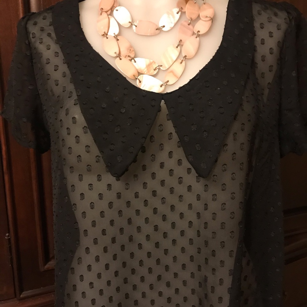 Casual Land Sheer (need camisole) big collar shirt